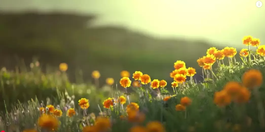 Relaxing Piano Music