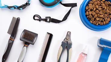 Collar blue bowl with feed leash delicacy combs and brushes for dogs isolated on white background