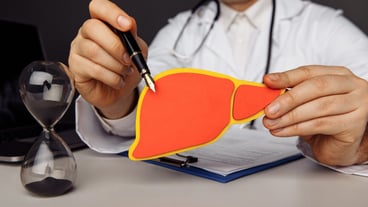 Doctor showing a wooden model of liver. Healthcare and treatment concept.